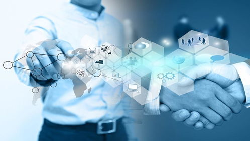 財務(wù)共享服務(wù)中心所需系統(tǒng)軟件及科技推廣應(yīng)用服務(wù)